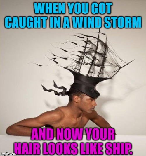 Wind advisory today! Ponytails and braids recommended! | WHEN YOU GOT CAUGHT IN A WIND STORM; AND NOW YOUR HAIR LOOKS LIKE SHIP. | image tagged in nixieknox,memes,bad hair,bad puns | made w/ Imgflip meme maker