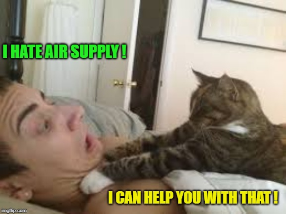 Cat Strangler | I HATE AIR SUPPLY ! I CAN HELP YOU WITH THAT ! | image tagged in cat strangler | made w/ Imgflip meme maker