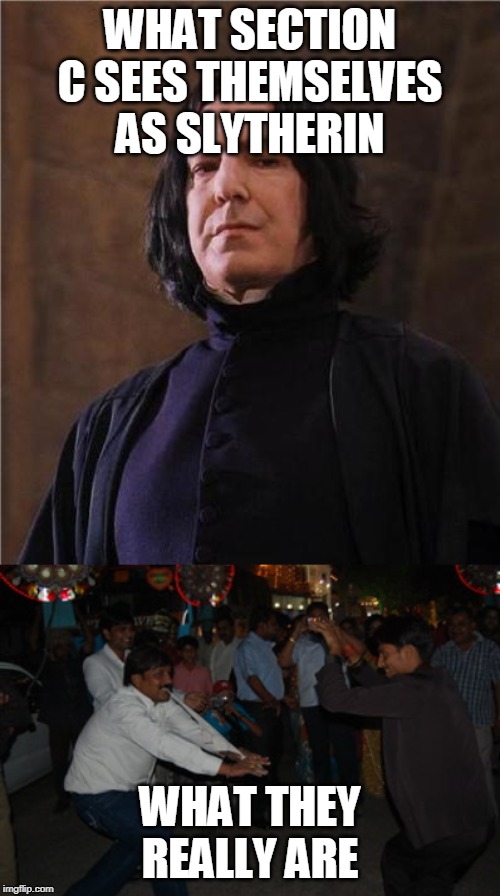 WHAT SECTION C SEES THEMSELVES AS SLYTHERIN; WHAT THEY REALLY ARE | image tagged in snape | made w/ Imgflip meme maker