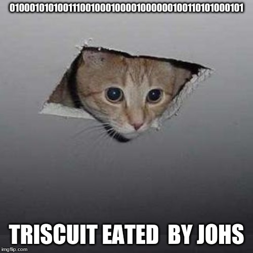 Ceiling Cat | 010001010100111001000100001000000100110101000101; TRISCUIT EATED  BY JOHS | image tagged in memes,ceiling cat | made w/ Imgflip meme maker