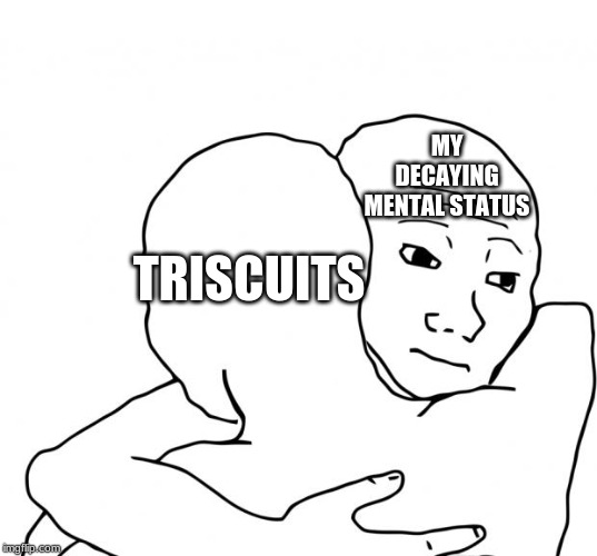 I Know That Feel Bro Meme | MY DECAYING MENTAL STATUS; TRISCUITS | image tagged in memes,i know that feel bro | made w/ Imgflip meme maker