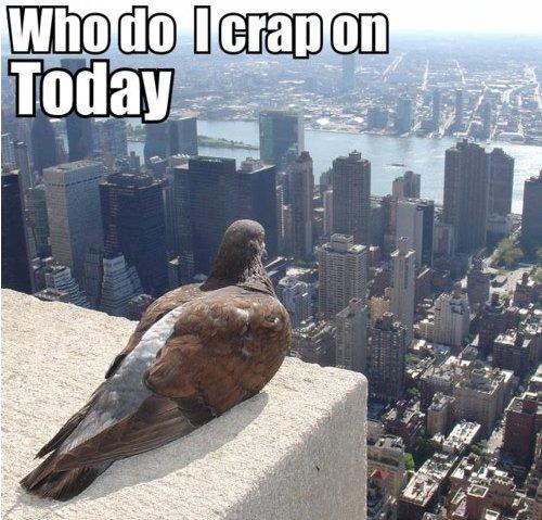 image tagged in funny