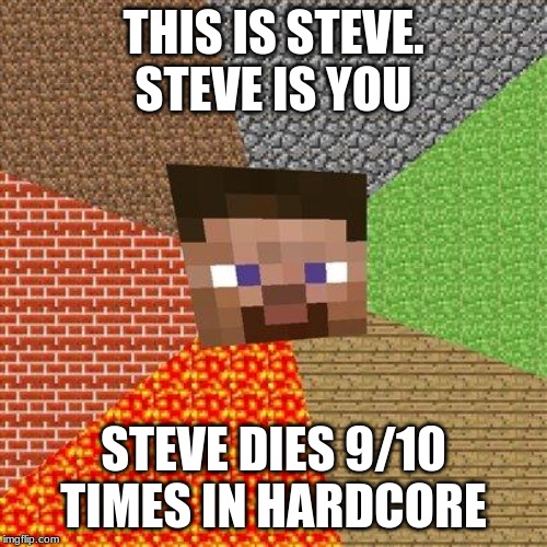 Minecraft Steve | THIS IS STEVE. STEVE IS YOU; STEVE DIES 9/10 TIMES IN HARDCORE | image tagged in minecraft steve | made w/ Imgflip meme maker