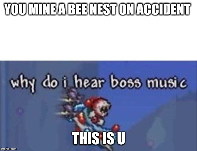 why do i hear boss music | YOU MINE A BEE NEST ON ACCIDENT; THIS IS U | image tagged in why do i hear boss music | made w/ Imgflip meme maker