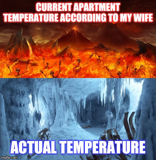 CURRENT APARTMENT TEMPERATURE ACCORDING TO MY WIFE; ACTUAL TEMPERATURE | image tagged in husband wife | made w/ Imgflip meme maker