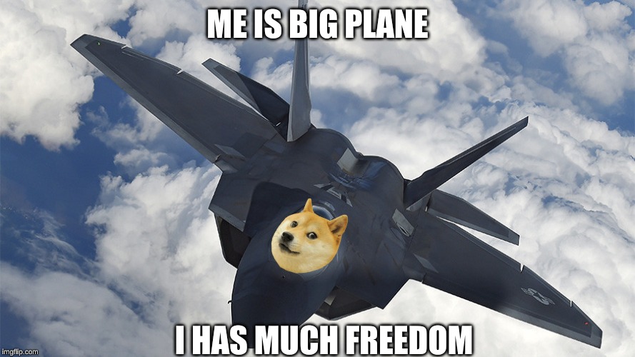 Turning Raptor | ME IS BIG PLANE; I HAS MUCH FREEDOM | image tagged in turning raptor | made w/ Imgflip meme maker