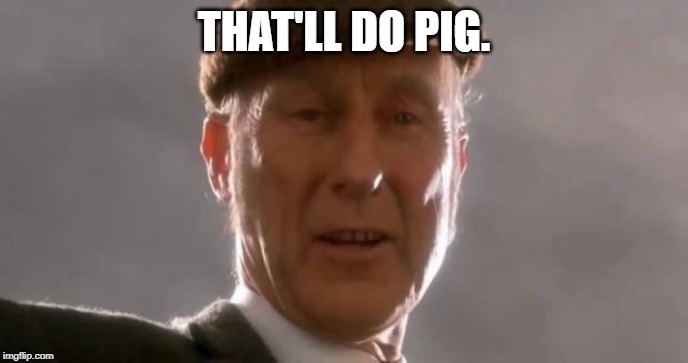 That'll do pig | THAT'LL DO PIG. | image tagged in that'll do pig | made w/ Imgflip meme maker