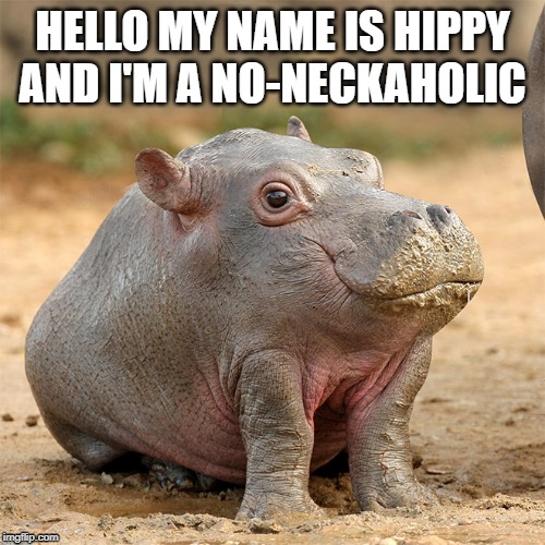 hippo with no neck | HELLO MY NAME IS HIPPY
AND I'M A NO-NECKAHOLIC | image tagged in no neck,hippo,funny | made w/ Imgflip meme maker