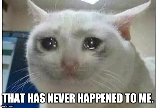 crying cat | THAT HAS NEVER HAPPENED TO ME. | image tagged in crying cat | made w/ Imgflip meme maker