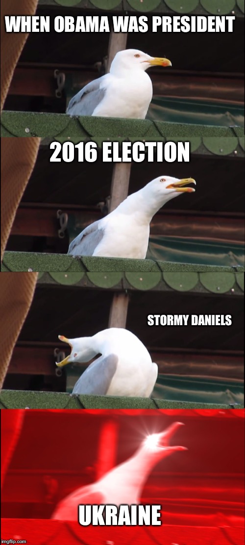 Inhaling Seagull | WHEN OBAMA WAS PRESIDENT; 2016 ELECTION; STORMY DANIELS; UKRAINE | image tagged in memes,inhaling seagull | made w/ Imgflip meme maker