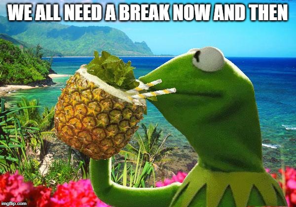 vacation kermit | WE ALL NEED A BREAK NOW AND THEN | image tagged in vacation kermit | made w/ Imgflip meme maker