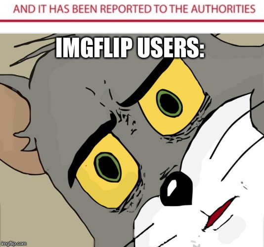 IMGFLIP USERS: | image tagged in memes,unsettled tom | made w/ Imgflip meme maker
