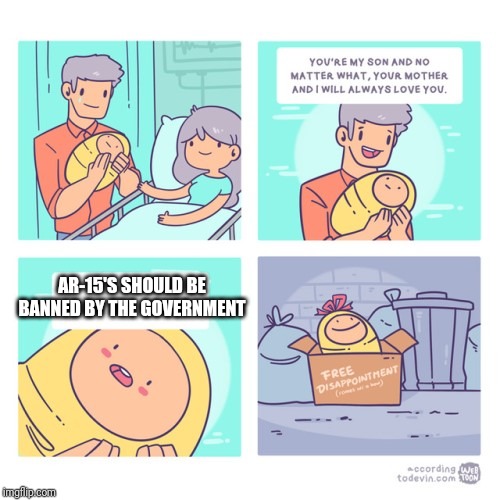 trash baby | AR-15'S SHOULD BE BANNED BY THE GOVERNMENT | image tagged in trash baby | made w/ Imgflip meme maker