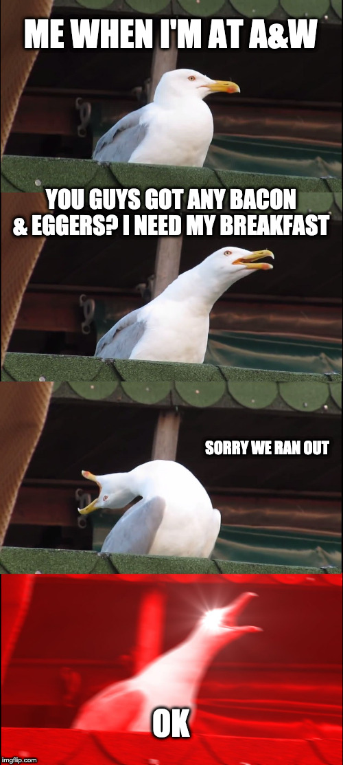 Inhaling Seagull Meme | ME WHEN I'M AT A&W; YOU GUYS GOT ANY BACON & EGGERS? I NEED MY BREAKFAST; SORRY WE RAN OUT; OK | image tagged in memes,inhaling seagull | made w/ Imgflip meme maker