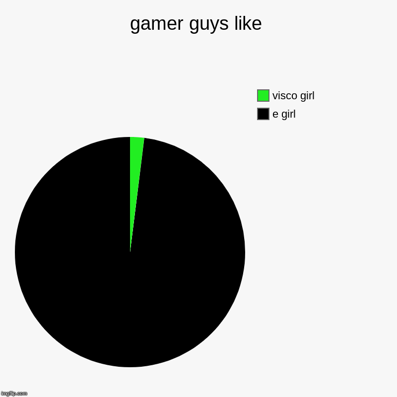 gamer guys like | e girl, visco girl | image tagged in charts,pie charts | made w/ Imgflip chart maker