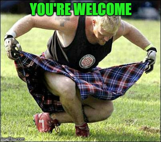 Bow | YOU'RE WELCOME | image tagged in bow | made w/ Imgflip meme maker