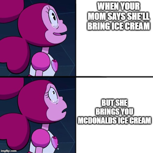 Spinel | WHEN YOUR MOM SAYS SHE'LL BRING ICE CREAM; BUT SHE BRINGS YOU MCDONALDS ICE CREAM | image tagged in spinel | made w/ Imgflip meme maker