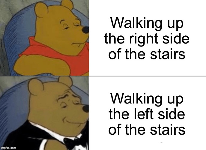 Tuxedo Winnie The Pooh | Walking up the right side of the stairs; Walking up the left side of the stairs | image tagged in memes,tuxedo winnie the pooh | made w/ Imgflip meme maker