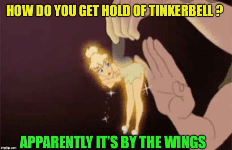 HOW DO YOU GET HOLD OF TINKERBELL ? APPARENTLY IT’S BY THE WINGS | made w/ Imgflip meme maker