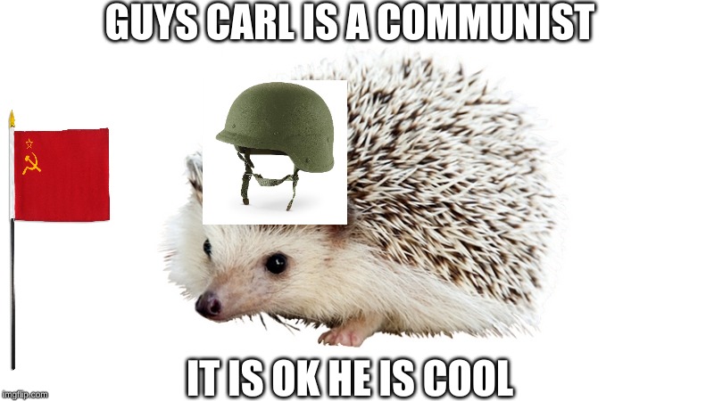carl the hedgehog | GUYS CARL IS A COMMUNIST; IT IS OK HE IS COOL | image tagged in carl the hedgehog | made w/ Imgflip meme maker