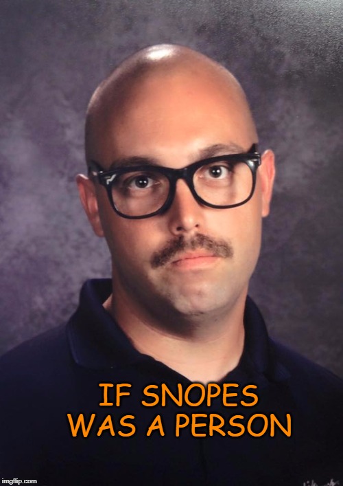 better fact check yoself before you wreck yoself | IF SNOPES WAS A PERSON | image tagged in snopes | made w/ Imgflip meme maker