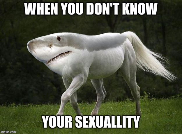 WHEN YOU DON'T KNOW; YOUR SEXUALLITY | image tagged in shorse | made w/ Imgflip meme maker