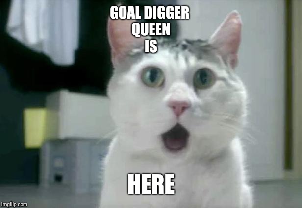 OMG Cat | GOAL DIGGER 
QUEEN
IS; HERE | image tagged in memes,omg cat | made w/ Imgflip meme maker