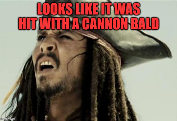 confused dafuq jack sparrow what | LOOKS LIKE IT WAS HIT WITH A CANNON BALD | image tagged in confused dafuq jack sparrow what | made w/ Imgflip meme maker