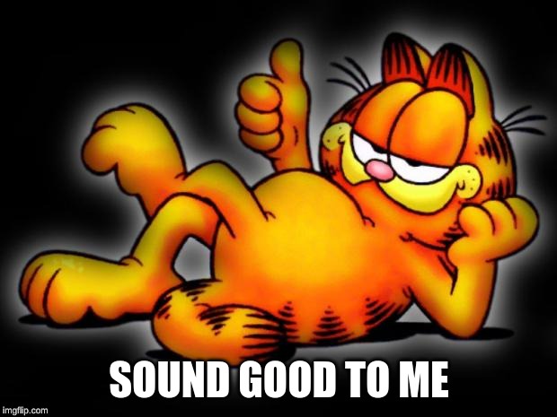 garfield thumbs up | SOUND GOOD TO ME | image tagged in garfield thumbs up | made w/ Imgflip meme maker