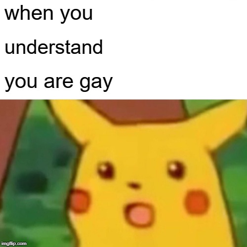Surprised Pikachu Meme | when you; understand; you are gay | image tagged in memes,surprised pikachu | made w/ Imgflip meme maker