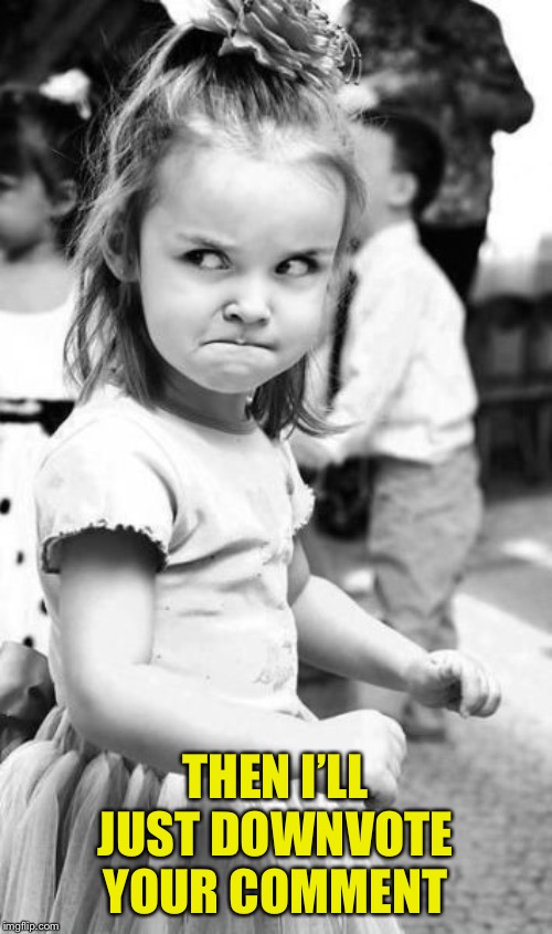 Angry Toddler Meme | THEN I’LL JUST DOWNVOTE YOUR COMMENT | image tagged in memes,angry toddler | made w/ Imgflip meme maker