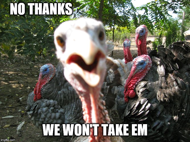Turkeys | NO THANKS WE WON'T TAKE EM | image tagged in turkeys | made w/ Imgflip meme maker