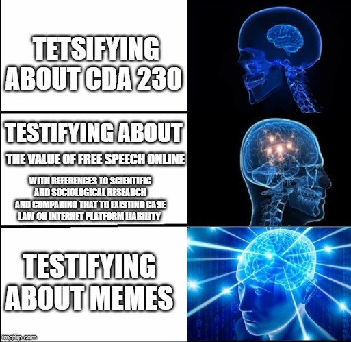 TETSIFYING ABOUT CDA 230; TESTIFYING ABOUT; THE VALUE OF FREE SPEECH ONLINE; WITH REFERENCES TO SCIENTIFIC AND SOCIOLOGICAL RESEARCH AND COMPARING THAT TO EXISTING CASE LAW ON INTERNET PLATFORM LIABILITY; TESTIFYING ABOUT MEMES | made w/ Imgflip meme maker