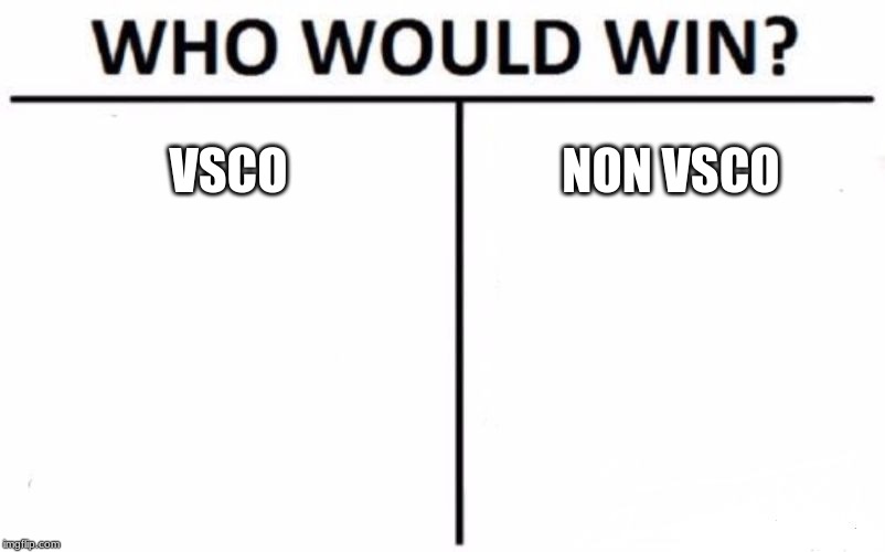 Who Would Win? Meme | VSCO; NON VSCO | image tagged in memes,who would win | made w/ Imgflip meme maker