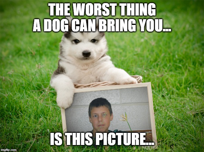 OMGsquirrel's face reveal! | THE WORST THING A DOG CAN BRING YOU... IS THIS PICTURE... | image tagged in funny,memes,dog,funny picture | made w/ Imgflip meme maker