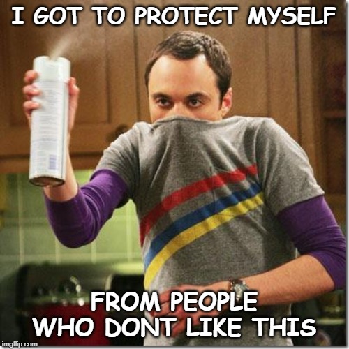 air freshener sheldon cooper | I GOT TO PROTECT MYSELF FROM PEOPLE WHO DONT LIKE THIS | image tagged in air freshener sheldon cooper | made w/ Imgflip meme maker