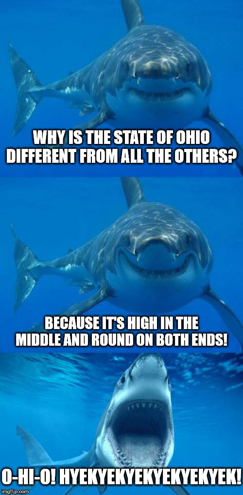 Bad Shark Pun  | WHY IS THE STATE OF OHIO DIFFERENT FROM ALL THE OTHERS? BECAUSE IT'S HIGH IN THE MIDDLE AND ROUND ON BOTH ENDS! O-HI-O! HYEKYEKYEKYEKYEKYEK! | image tagged in bad shark pun | made w/ Imgflip meme maker