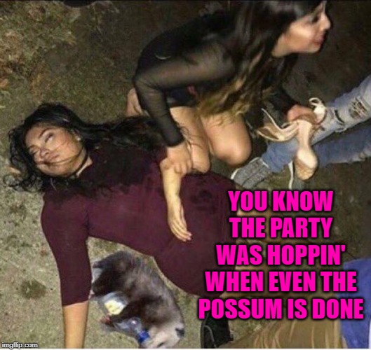 Should've invited the raccoon... | YOU KNOW THE PARTY WAS HOPPIN' WHEN EVEN THE POSSUM IS DONE | image tagged in drunk possum,memes,drunk girl,funny,party hard | made w/ Imgflip meme maker