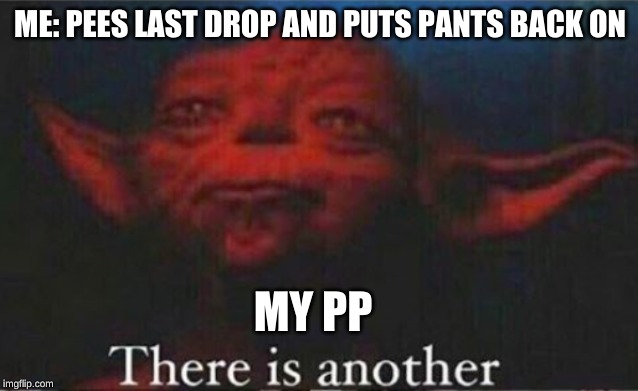 There is another | ME: PEES LAST DROP AND PUTS PANTS BACK ON; MY PP | image tagged in there is another,memes,yoda | made w/ Imgflip meme maker