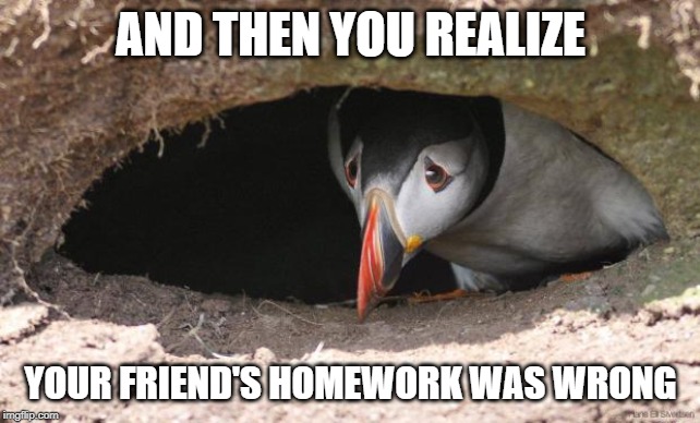 Sad Puffin | AND THEN YOU REALIZE YOUR FRIEND'S HOMEWORK WAS WRONG | image tagged in sad puffin | made w/ Imgflip meme maker