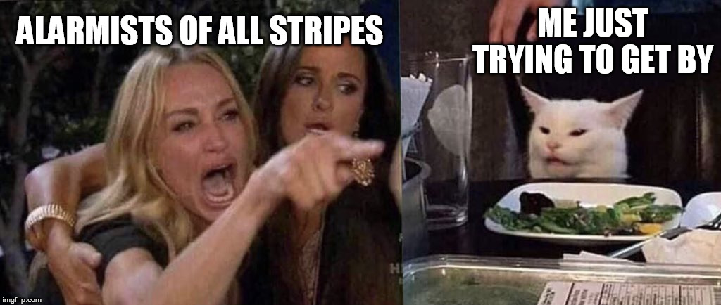 Just let me be | ME JUST TRYING TO GET BY; ALARMISTS OF ALL STRIPES | image tagged in woman yelling at cat,funny,politics lol | made w/ Imgflip meme maker