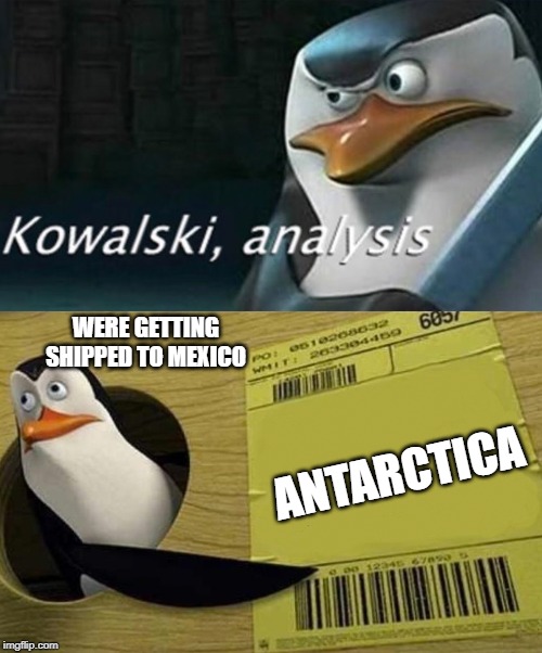 Kowalski Analysis | WERE GETTING SHIPPED TO MEXICO; ANTARCTICA | image tagged in kowalski analysis | made w/ Imgflip meme maker