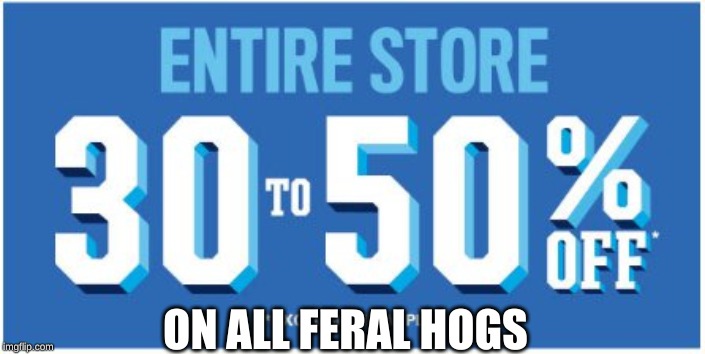 ON ALL FERAL HOGS | image tagged in twitter,memes | made w/ Imgflip meme maker