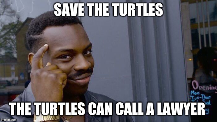 Roll Safe Think About It | SAVE THE TURTLES; THE TURTLES CAN CALL A LAWYER | image tagged in memes,roll safe think about it | made w/ Imgflip meme maker