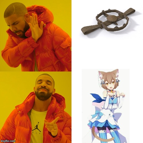 Traps are not gay | image tagged in memes,drake hotline bling | made w/ Imgflip meme maker