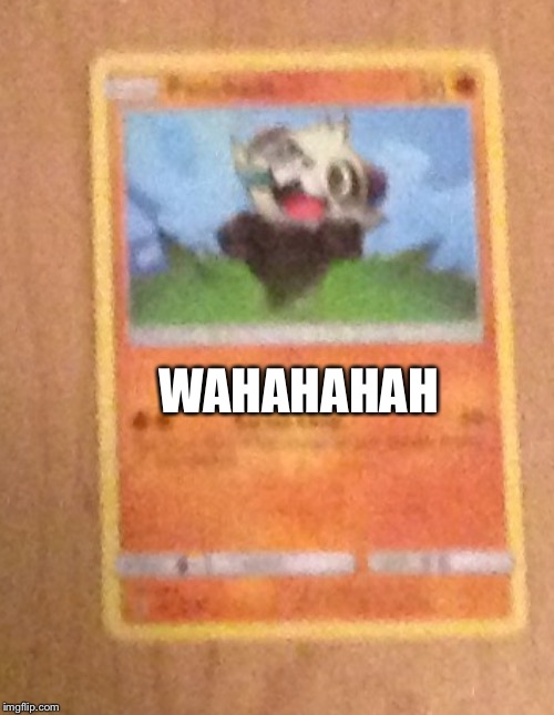 Pancham in Pokémon | WAHAHAHAH | image tagged in pokemon | made w/ Imgflip meme maker