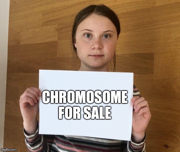 Greta | CHROMOSOME FOR SALE | image tagged in greta | made w/ Imgflip meme maker