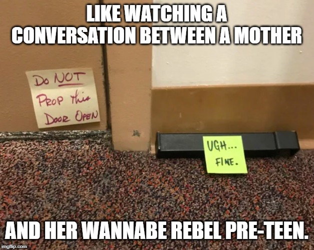 LIKE WATCHING A CONVERSATION BETWEEN A MOTHER; AND HER WANNABE REBEL PRE-TEEN. | made w/ Imgflip meme maker