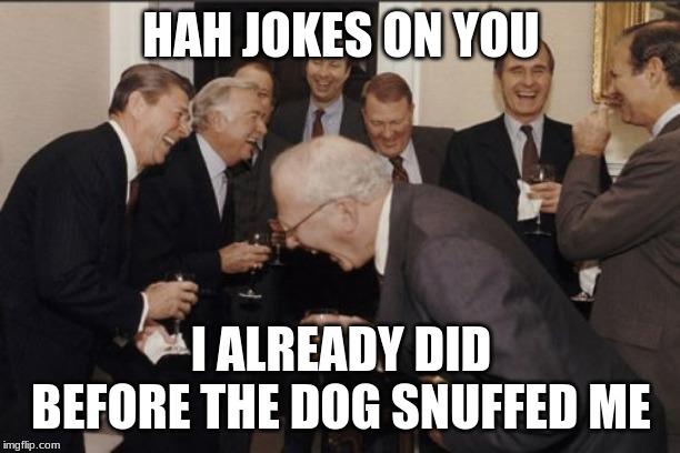 Laughing Men In Suits Meme | HAH JOKES ON YOU I ALREADY DID BEFORE THE DOG SNUFFED ME | image tagged in memes,laughing men in suits | made w/ Imgflip meme maker