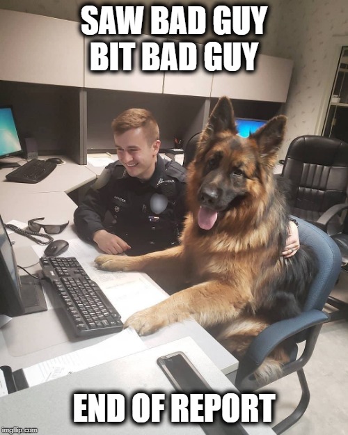 funny police dog